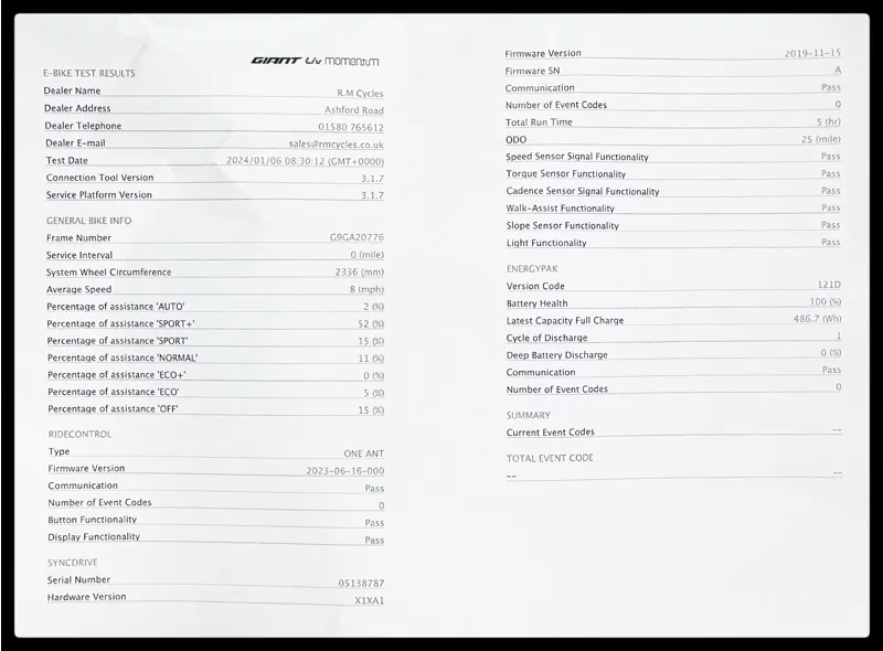 Liv Embolden E+ 2 29er Small Purple Ash 2022-9